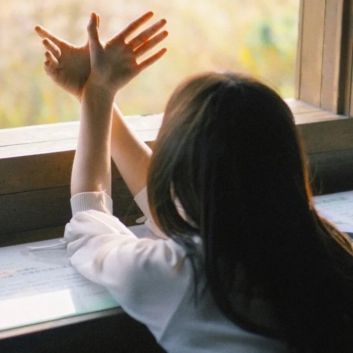 决胜荒野第三季